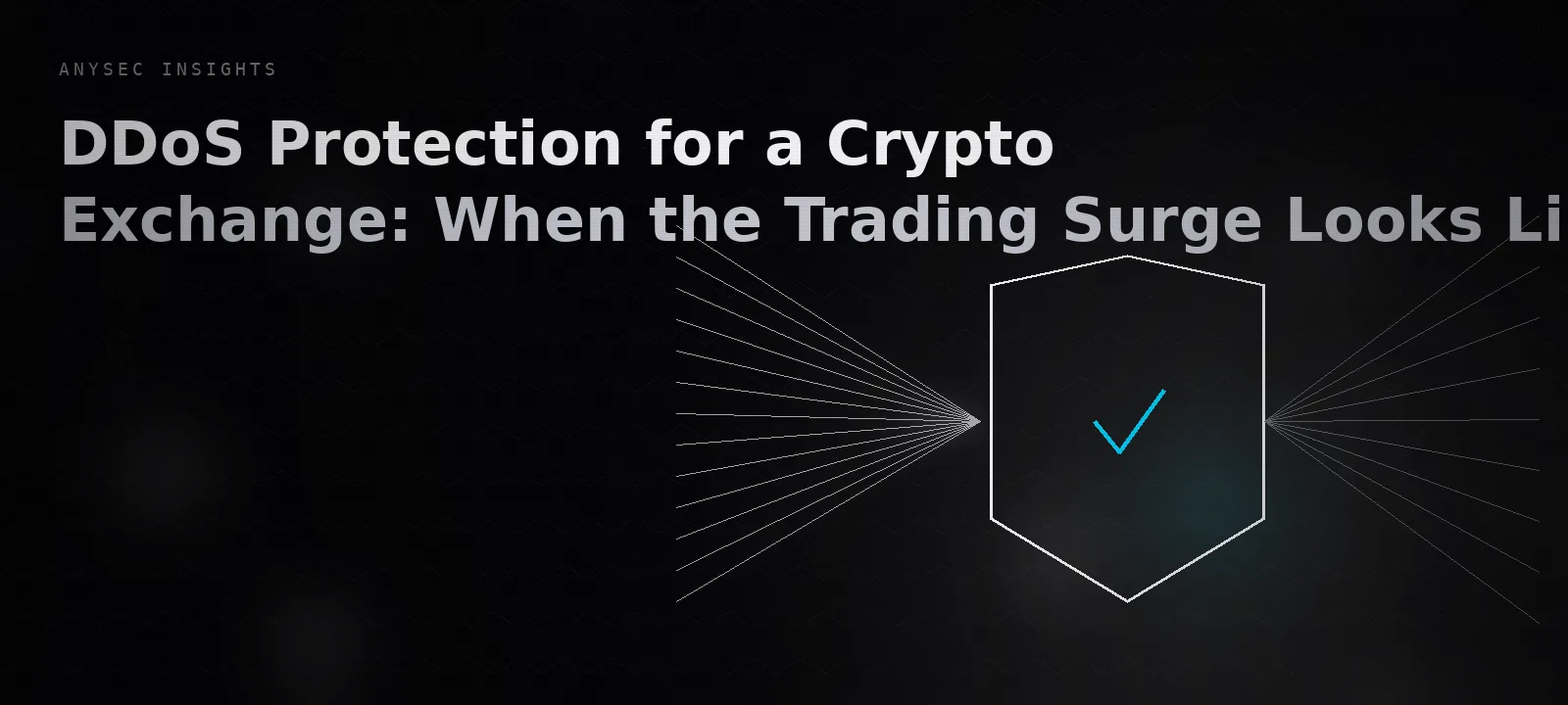 DDoS Protection for a Crypto Exchange: When the Trading Surge Looks Like the Attack