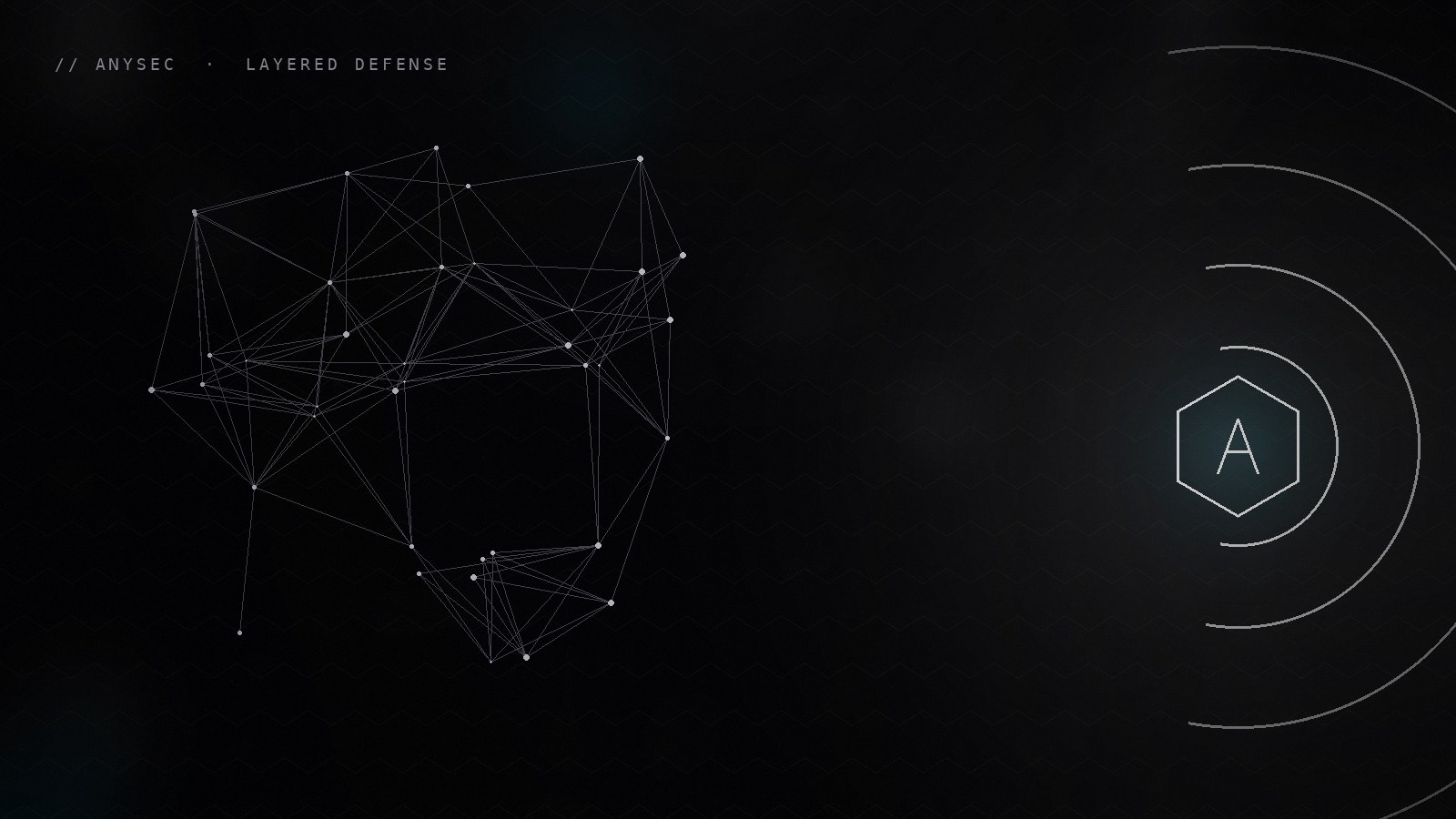 AnySec — layered defense