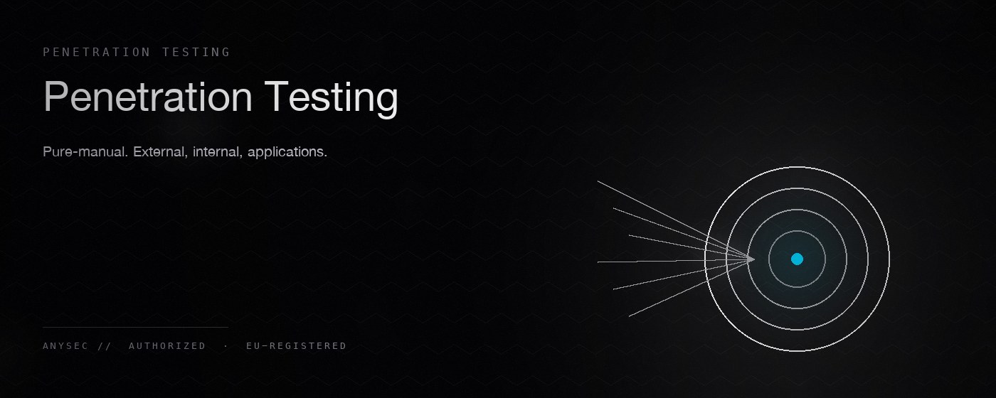 Penetration Testing — AnySec