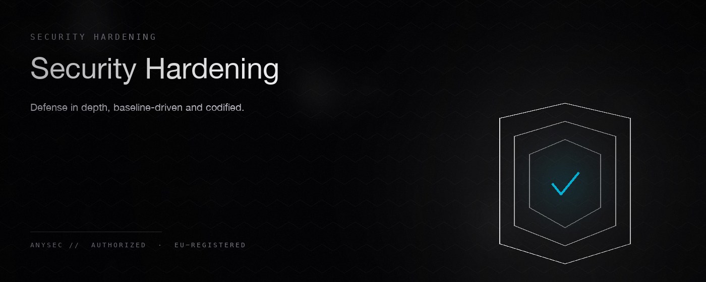Security Hardening — AnySec