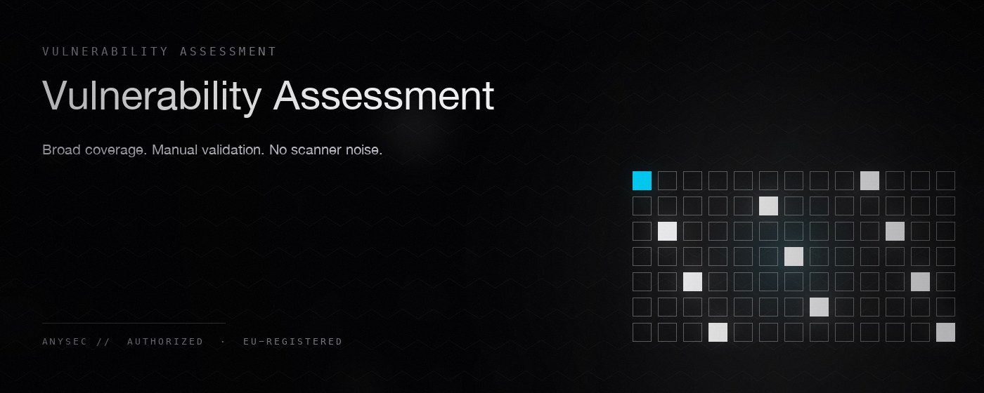 Vulnerability Assessment — AnySec